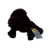 Webkinz Black Lab with Trading Cards