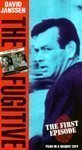 The Fugitive - The First Episode, Fear in a Desert City