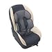 Nania Satellite SP Gris Sable (0-4yrs)