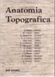 Anatomia topografica
