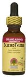 Nature's Answer - Blessed Thistle Herb, 2000 mg, 1 fl oz liquid