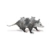 Safari Opossum with Babies