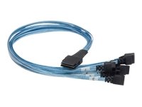 AMC 3war Break out Kabel (0,6 m, 8x SATA) Preisvergleich