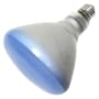 GE 21000 120-Watt Incandescent Plant Lighting Bulb, R40 Style (5" Diameter)