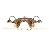 Brushed Nickel 3 light Bath
