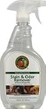 EARTHFR STAIN/ODOR REMVR 22OZ