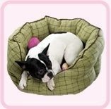 Puppy Luck BHO23GR-XL Pet Bed Green 32 x 26 x 12in