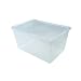 Clear Plastic Boxes - Large Deep