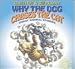 Why the Dog Chases the Cat
