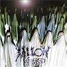 Image of album by Willow Wisp