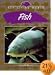 Our Living World - Fish (Our Living World)
