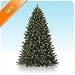 On Sale! 7 Balsam Spruce Unlit Artificial Christmas Tree PLUS eligible for Free Shipping! On Sale! 7 Balsam Spruce Unlit Artificial Christmas Tree PLUS eligible for Free Shipping!