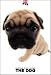   - THE DOG Artlist - PUG - Hand Book - 6 Postcards