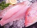 Fresh Red Snapper Fillets