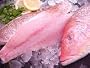 Fresh Red Snapper Fillets