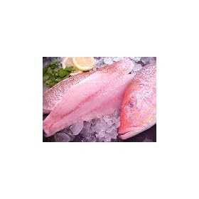 Fresh Red Snapper Fillets