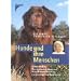 Hunde - Verhalten