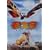 ���X�� [DVD]