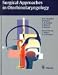 Surgical Approaches in Otorhinolaryngology