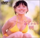 ���������� HIME-�ҥ�-�����塼�ƥ����������� [DVD]