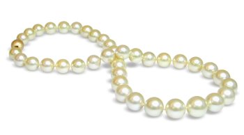 10 x 12.8mm cream color Australian south sea cultured pearl necklace 18