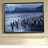 8FT Diagonal Accuscreens Ntsc Fixed Soundscreen Matt White