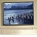 Electronics : 8FT Diagonal Accuscreens Ntsc Fixed Soundscreen Matt White