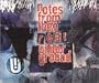 Notes From Thee Real Underground 1