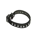 Top Dog Studded Black Leather Dog Collar 1/2 x 8 inch