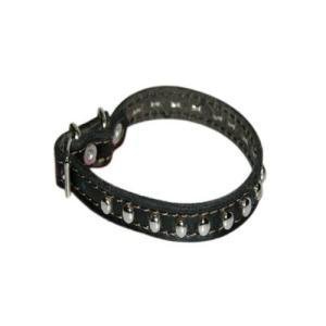 Top Dog Studded Black Leather Dog Collar 1/2 x 14 inch
