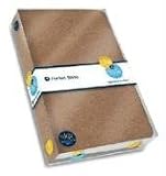 Life & Style Pocket Bible - Fiber Filter Mocha: Summer Line 2005 (Nelson's Life & Style Bibles)