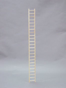 Best Price Wood Parrot Ladder 48