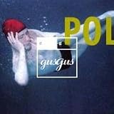 Polydistortion