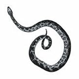  : RATTLESNAKE Temporary Tattoo 2x2