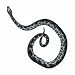 Health & Personal Care : RATTLESNAKE Temporary Tattoo 2x2