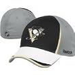 Pittsburgh Penguins 2010 NHL Draft Day Cap