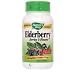 Nature's Way Elderberry