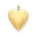 Genuine IceCarats Designer Jewelry Gift 14K Gold Filled 2-Frame Heart Locket
