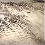 Rivulets