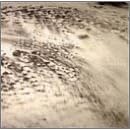 Rivulets