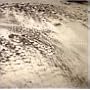 Rivulets
