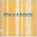 Books : What Is A Butterfly (The What Is It Series)
