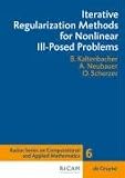 Iterative Regularization Methods for Nonlinear Ill-Posed Problems (Computational and Applied Mathematics)