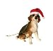 Beagle Sandicast Holiday Ornament