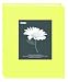 Pioneer 24 Pocket Fabric Frame Cover Photo Album, Sage Green