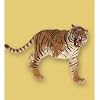50003 - PAPO Antike - Tigerin