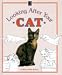 Looking After Your Cat