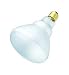 300 Watt R40 Light Bulb / 12 Volt Pool Light Replacment Bulb / Medium Base / 300R40