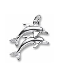 Two Dolphins Charm