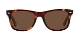 Classic Tortoise Wayfarer Style Sunglasses